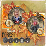 Painted Forest Torn Papers