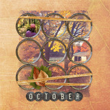 Painted Forest Paper Pak