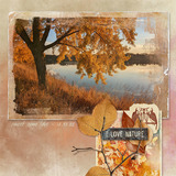 Painted Forest Paper Pak