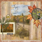 Painted Forest Paper Pak