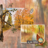 Painted Forest Paper Pak