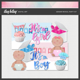 Gender Reveal Party Kit