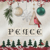 Christmas Wonder AlphaSet