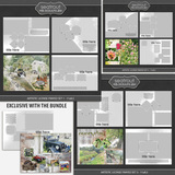 Artistic License Frayed Bonus Bundle 11x8.5