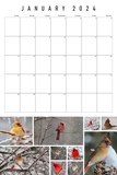 2024 Big Grid Collage Calendar 12x18