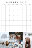 2023 Big Grid Collage Calendar 12x18
