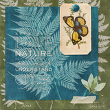 Cyanotypes Element Pak