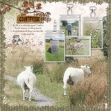 Artistic License Visitors Pass Bonus Bundle 12x12