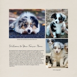 Stories Matter - Tan 12x12 Book Template