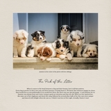 Stories Matter - Tan 12x12 Book Template