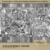 All That Glitters Birthday Bundle - Silver Edition