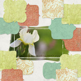 Everyday 5 Collection