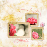 Everyday 5 Collection