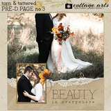 Torn & Tattered Collection