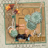 Torn & Tattered Collection