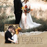 Torn & Tattered Collection