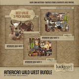 American Wild West 3