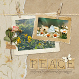 Torn & Tattered Paper Pak