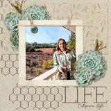 Torn & Tattered Paper Pak