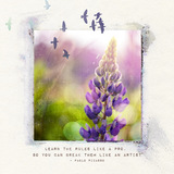 Photo Art Blends Collection 2