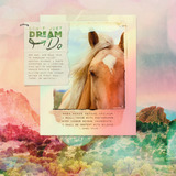 Photo Art Blends Collection 2