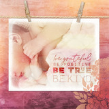 Photo Art Blends Collection 2