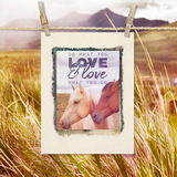 Photo Art Blends Collection 2