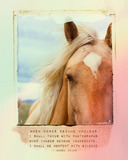 Photo Art Blends Collection 2