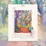 Photo Art Blends Collection 2