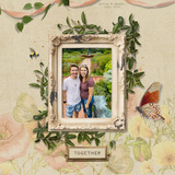 Rooted in Faith 4 Paper Pak