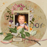 Rooted in Faith 4 Paper Pak