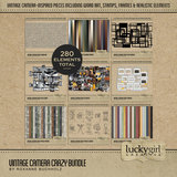 Vintage Camera Crazy Bundle