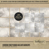 Camera Crazy Mega Bundle