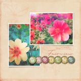 Wildflowers Mini Pak