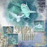 Artistic License - Ring of Fire Bundle