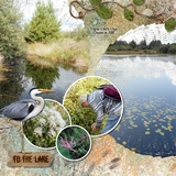 Artistic License - Freewheeling