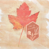 Endless Creativity Paper Pak