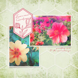 Endless Creativity Paper Pak