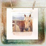 Click.Artistry Photo Frames 4