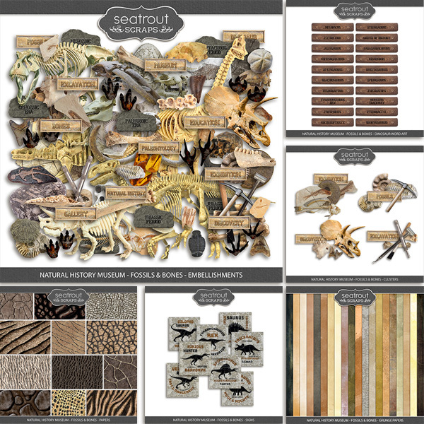 Natural History Museum - Fossils & Bones - Bundle Digital Art - Digital Scrapbooking Kits