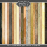 Natural History Museum - Fossils & Bones - Bundle