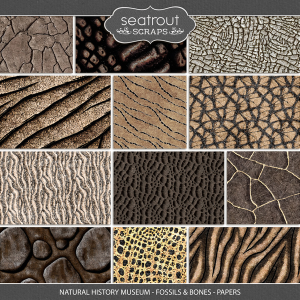 Natural History Museum - Fossils & Bones - Papers Digital Art - Digital Scrapbooking Kits