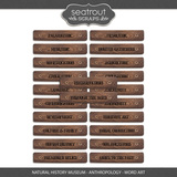 Natural History Museum - Anthropology - Bundle