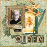 Patterned Past Collection