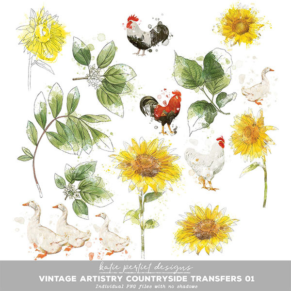 Vintage Artistry Countryside Transfers 01 Digital Art - Digital Scrapbooking Kits