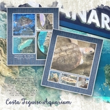 Artistic License - Turning Pages Bundle