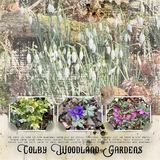 Artistic License Background Blends