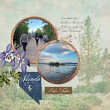 American Southwest Paper Pak