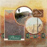 American Southwest Paper Pak