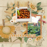 Sunflower Fields Frame Clusters